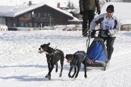 Lenk 2012 SM